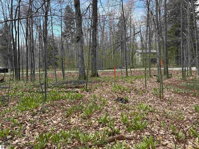 0 E Sugar Maple Dr, Cedar, MI, 49621