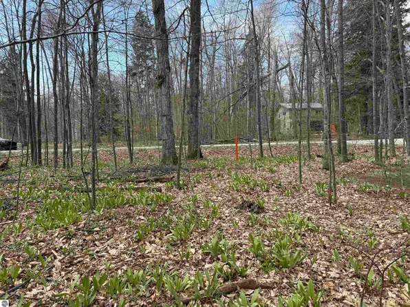 0 E Sugar Maple Dr, Cedar, MI 49621