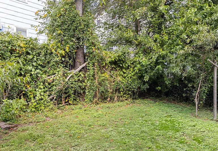 38 Brighton Ter — Photo 14
