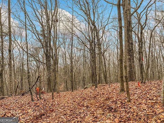 5th image of 1 Mount Mincie Rd