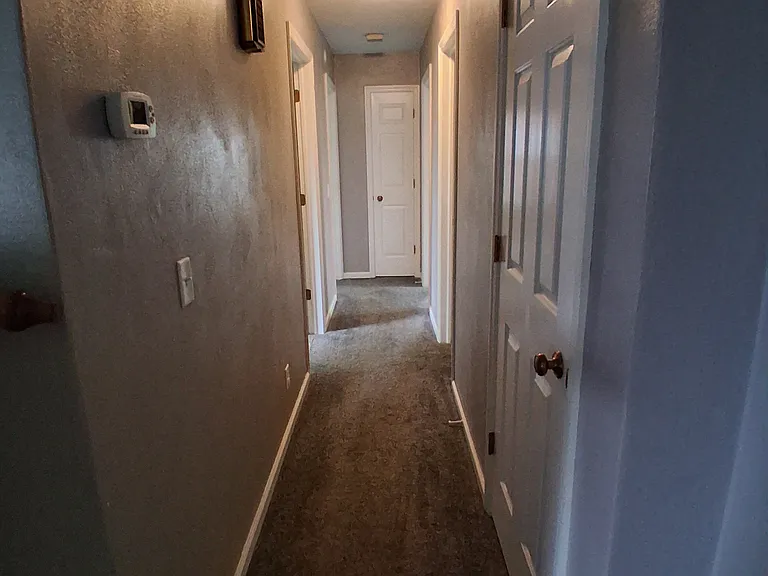503 Mound St — Photo 4
