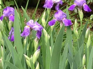 3 Haddam Dr, Avon, CT 06001