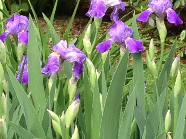 3 Haddam Dr, Avon, CT 06001