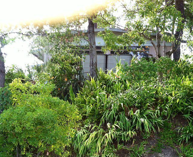 1st image of 1313 Zuni Ln