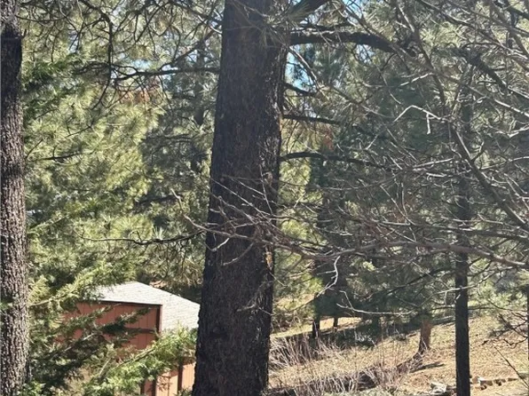 1850 Pond Dr, Big Bear City, CA 92314