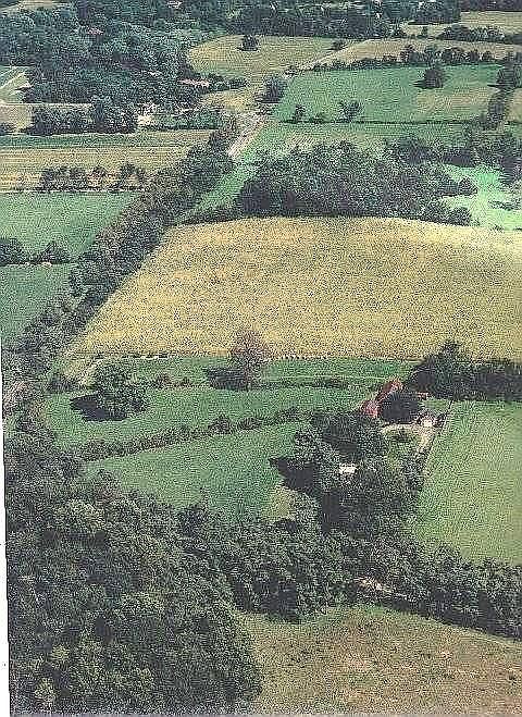  email cjdibalm@aol.com