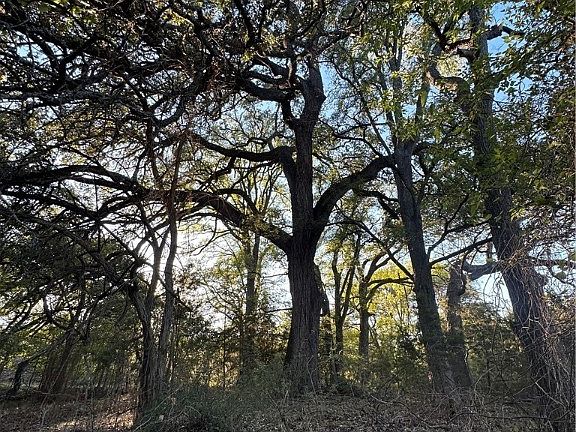 4th image of 785 County Road 3420