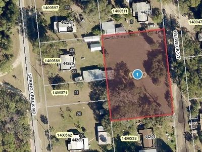 Spring Creek Rd, Paisley, FL, 32767