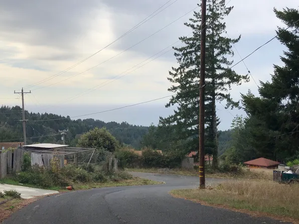 614 Wolverine Way, Whitethorn, CA 95589