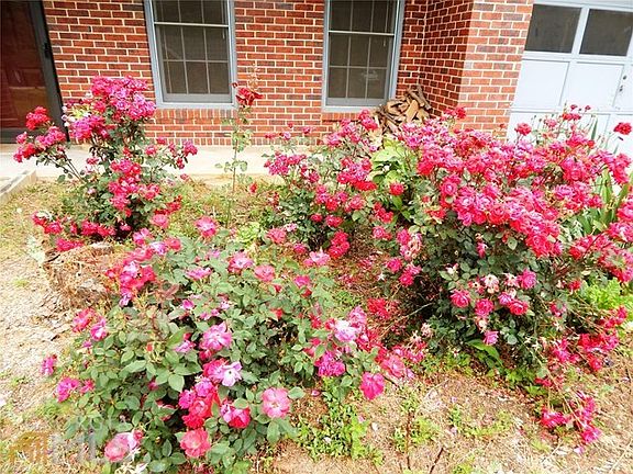 Nice plantings
