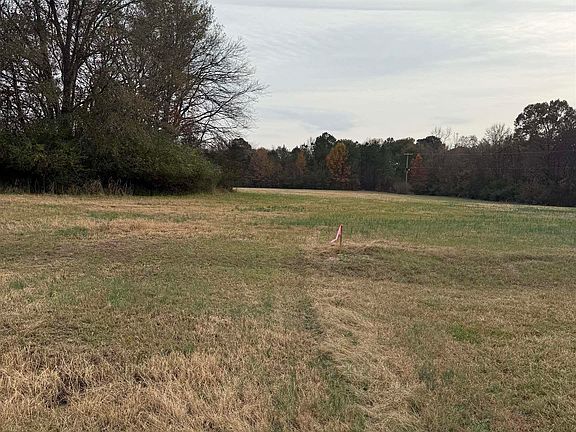 3rd image of 477 Hemsptead #29