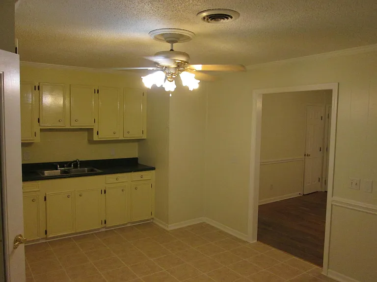 Kitchen View 1