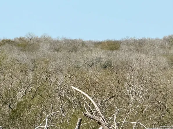 0 CR 148, Kenedy, TX 78119