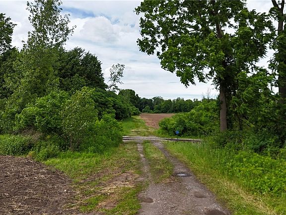 2nd image of 0 Lynch Rd