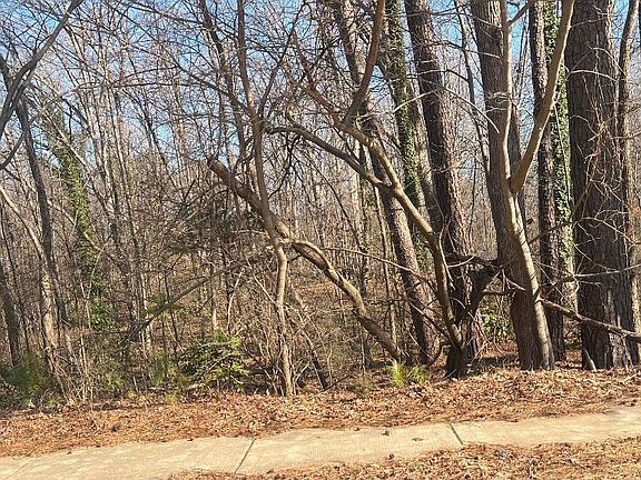 3rd image of 1000 Cross Link Rd Lot 2