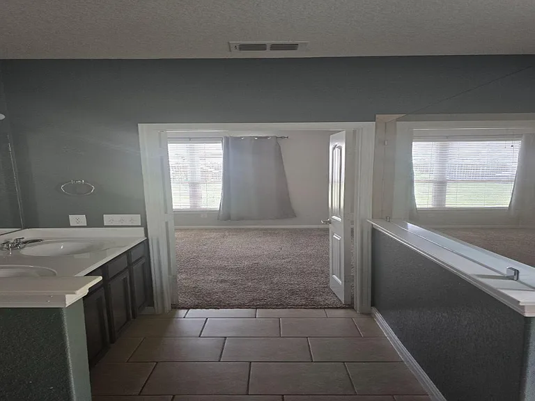 Spacious primary bath with double-sink vanity, large soaking tub, and natural light from wide windows.