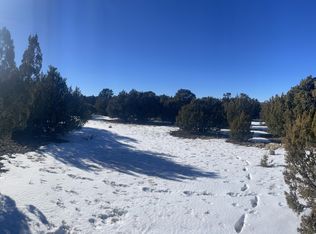 58 County Road 3198, Vernon, AZ 85940