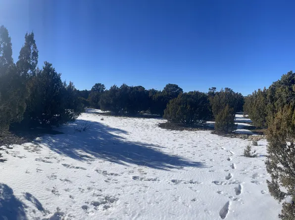 58 County Road 3198, Vernon, AZ 85940