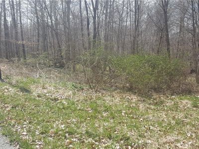 Overton Rd, West Salem, OH, 44287