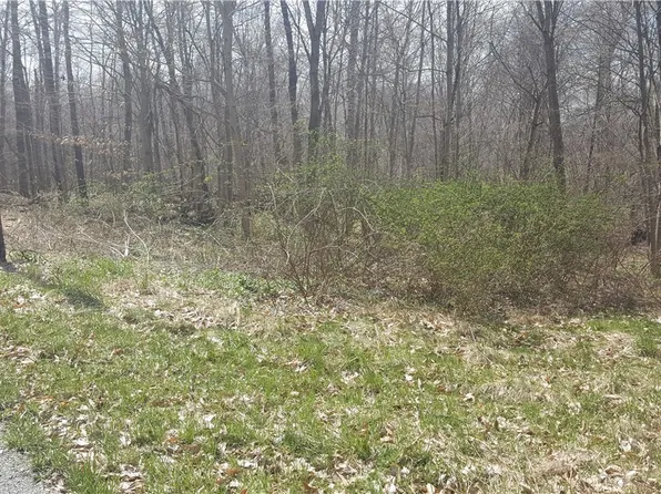 Overton Rd, West Salem, OH 44287