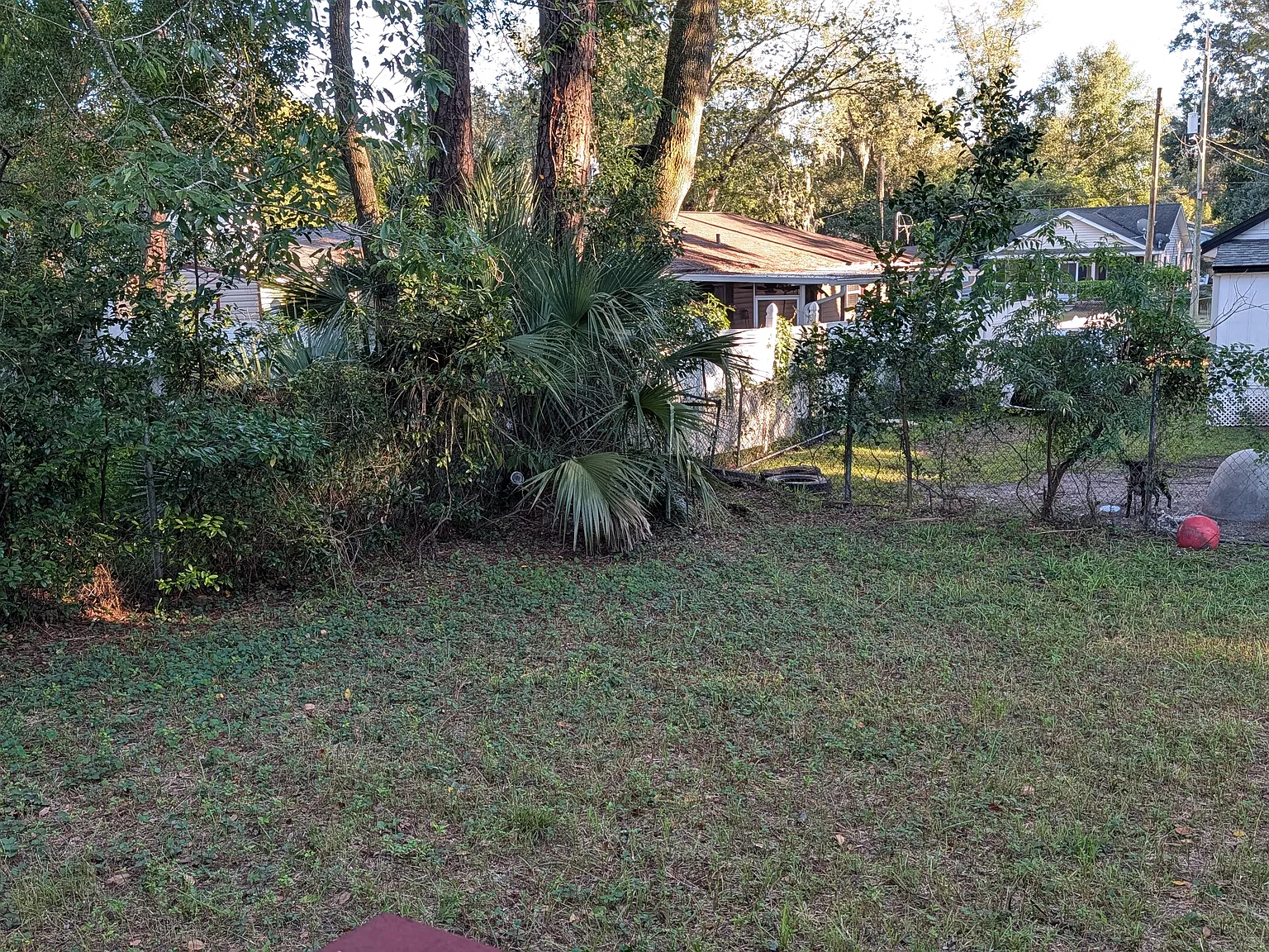 3 bed, 870 sqft, $1,250 — Photo 2