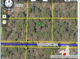 10367 Woodchuck Ave, Weeki Wachee, FL 34614