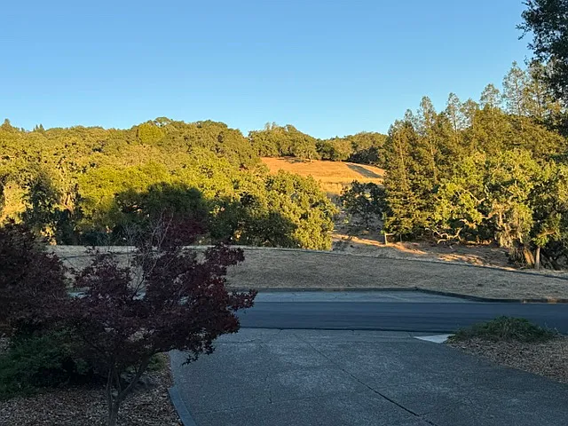 Your neighbor across the street