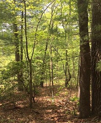 4th image of 47 Forest Glen Trl