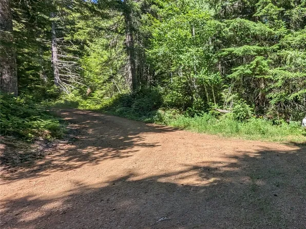 111 Dow Mtn Road, Hoodsport, WA 98548