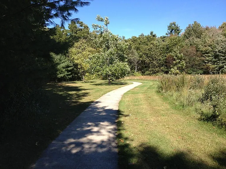 52 Swanson Ct — Photo 19