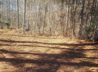 1385 Pebble Ridge Dr, Hampton, GA 30228