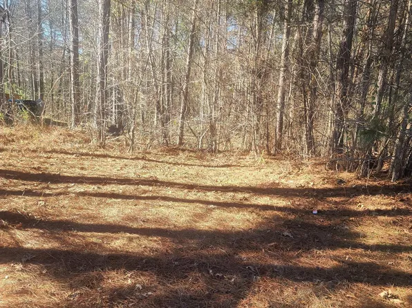 1385 Pebble Ridge Dr, Hampton, GA 30228