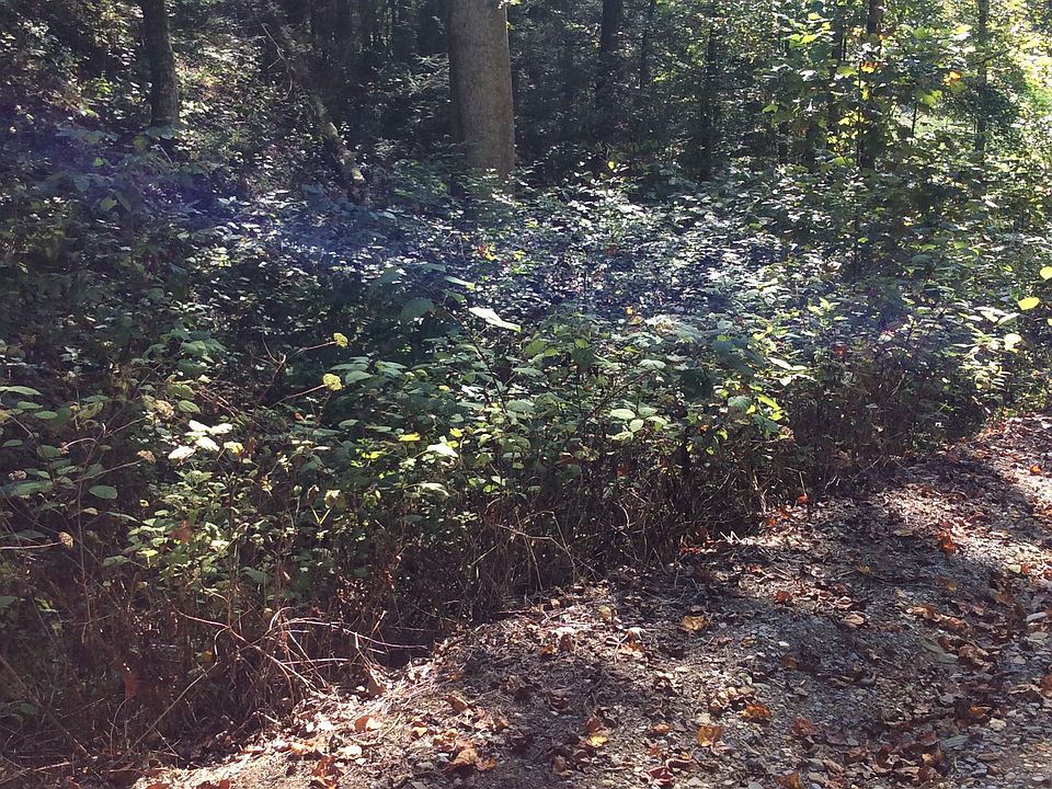 2nd image of Lot 10 Youngblood Acres