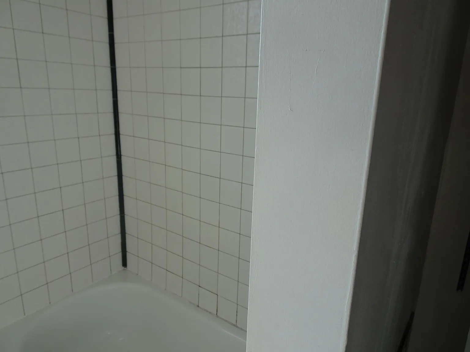 2 bed, 1000 sqft, $1,600 — Photo 4