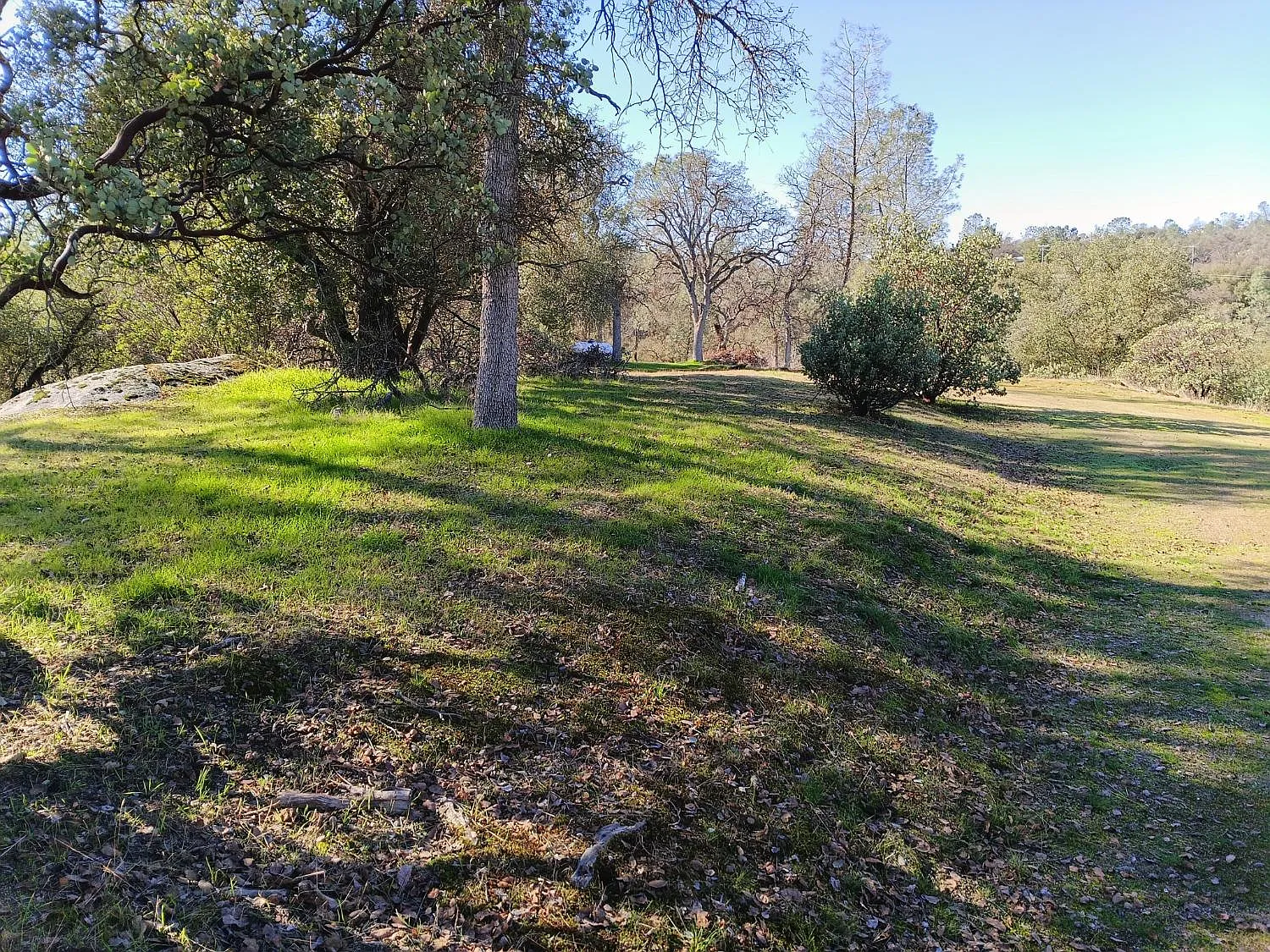 0 Deep Forest Dr photo 1