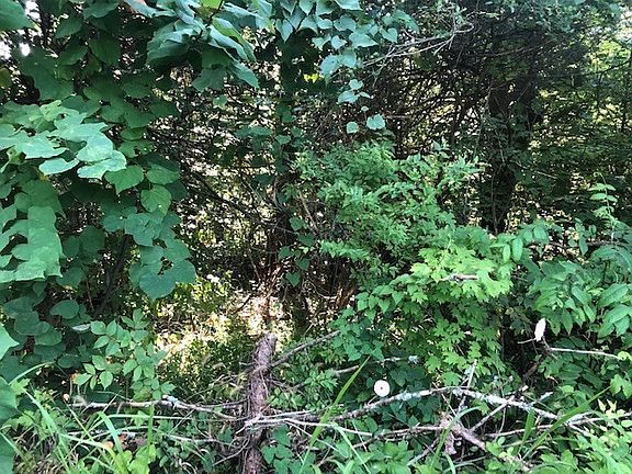 3rd image of 0 County Road 675 Lot 7