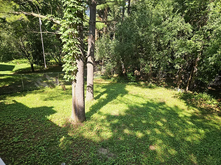 Private Backyard