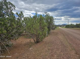 40 County Road 3190, Vernon, AZ 85940