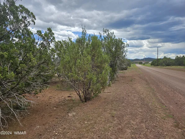 40 County Road 3190, Vernon, AZ 85940