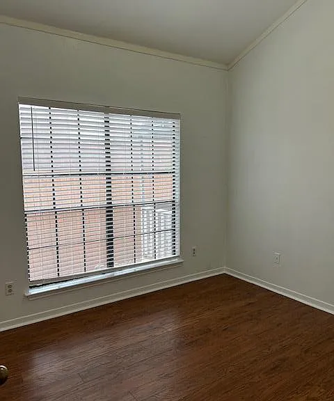 1201 Hazelton St #B — Photo 15