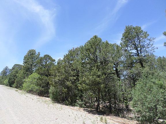 2nd image of 9 Secret Pines Ct