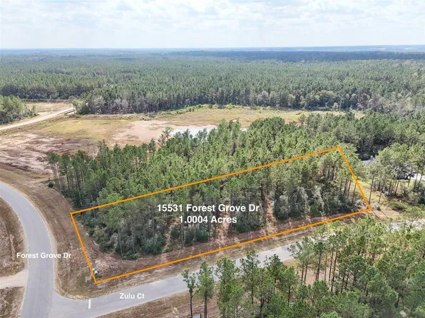 15531 Forest Grove Dr, Willis, TX 77378