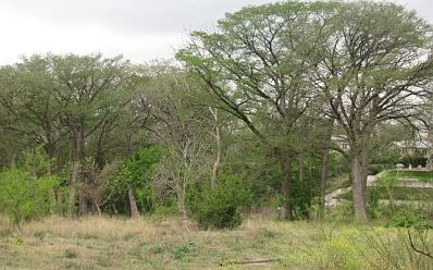 2nd image of 885 River Ter