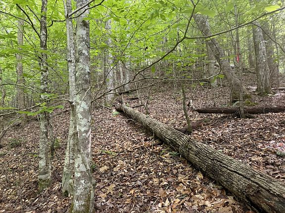 5th image of Tellico Rd Lot Wp001