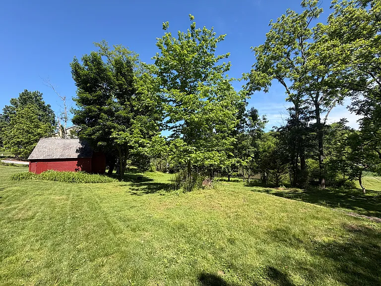 Shared yard
