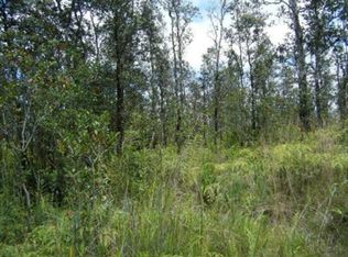 Road 5 LOT 4093, Mountain View, HI 96771