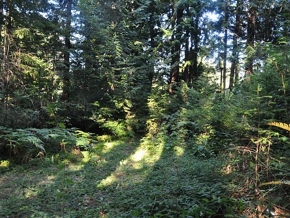 3rd image of 501 E Twanoh Falls Dr