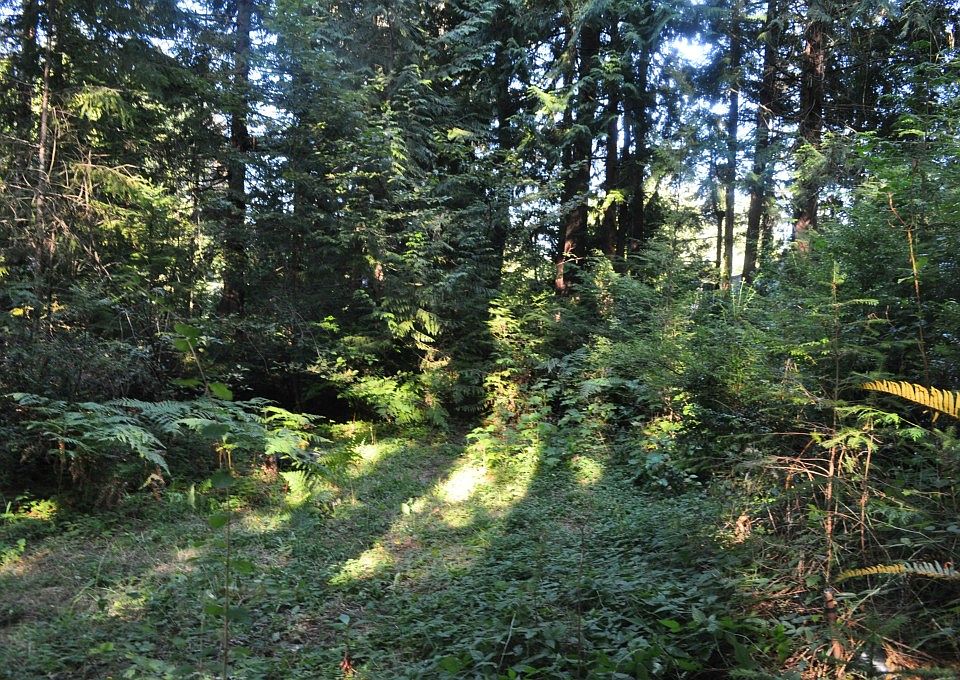 501 E Twanoh Falls Dr, Belfair, WA 98528 Zillow