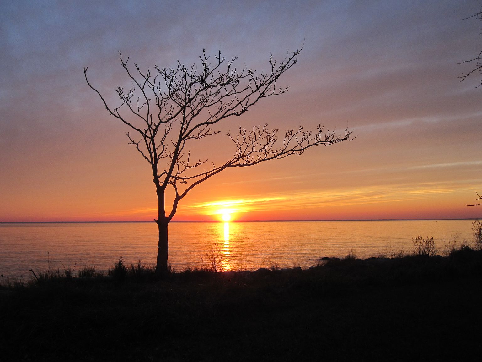 2414 Hoopers Island Rd, Fishing Creek, MD 21634 Zillow