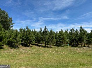 194 Archer Pond Smith Rd, Adrian, GA 31002